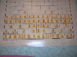 Dai Shogi: setup