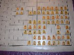 Tenjiku Shogi: all pieces