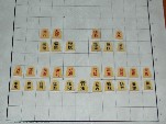 Wa Shogi: all pieces